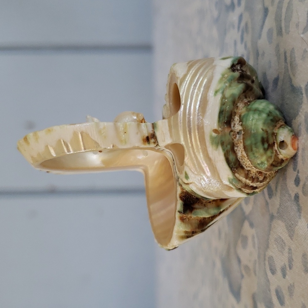 Carved Seashell with Rabbit - Picture 5 of 15